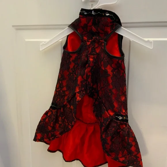 Zack & Zoey Dog Clothes - Picture 4 of 5